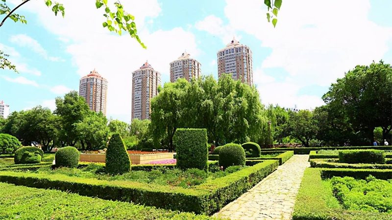 绿植租赁加盟培训：揭秘行业入门必备技能**