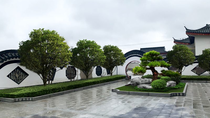 绿化苗木种植：如何提升成活率与施工效率**