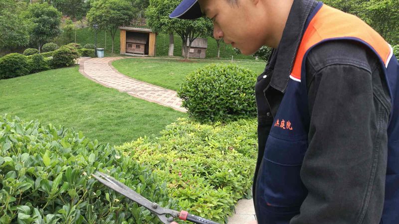 屋顶绿化施工价格，如何精准把握行情？**