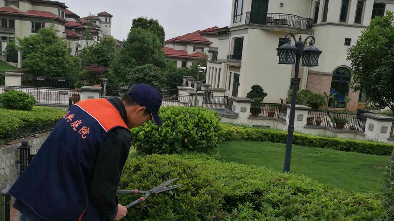 花卉租摆加盟：费用与流程全解析