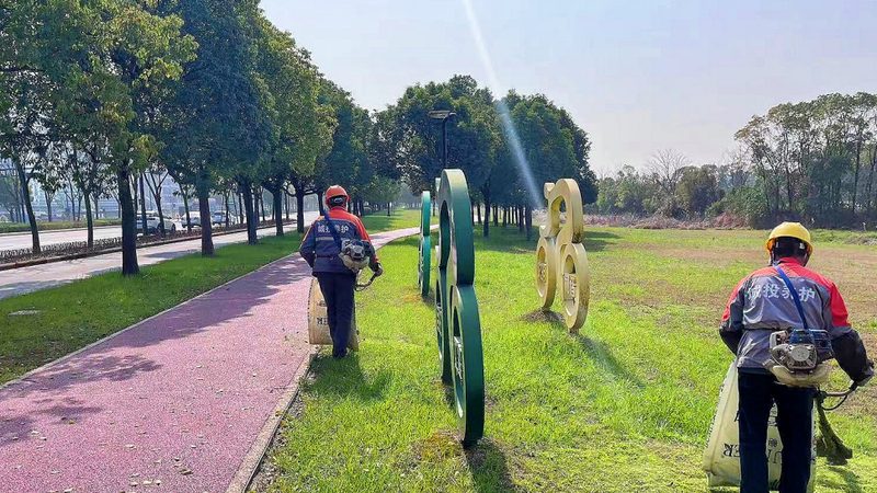 市政道路绿化养护，单价明细揭秘**