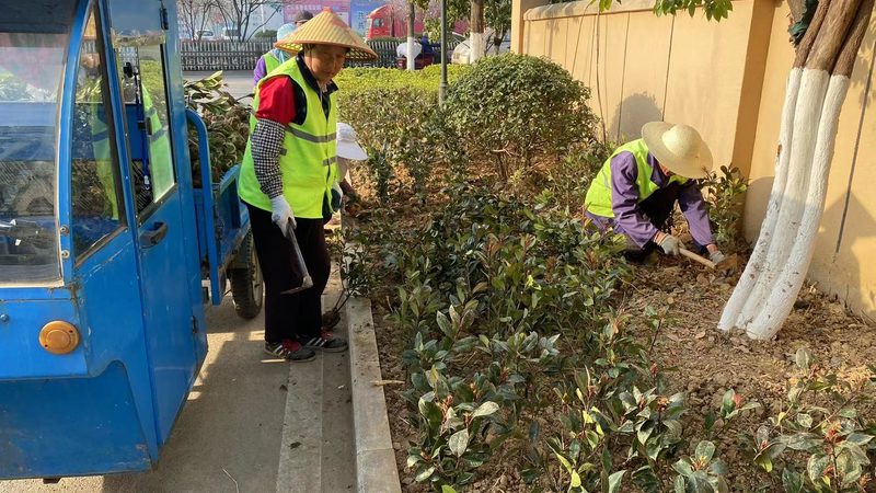 七人制足球场草坪尺寸解析：标准与选择要点
