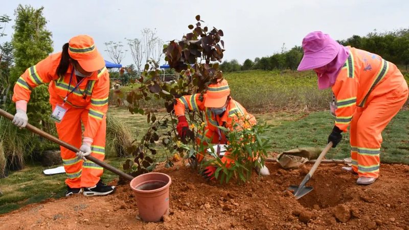 园林苗木种植人工费报价解析：揭秘成本构成与合理预算**