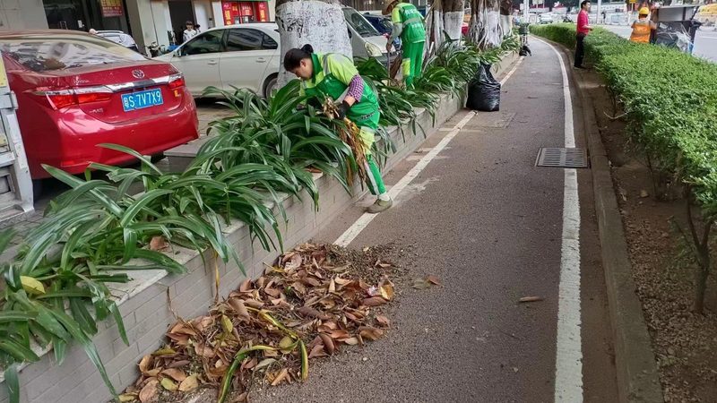 垂直绿化模块：不只是美化，更是城市绿化的未来