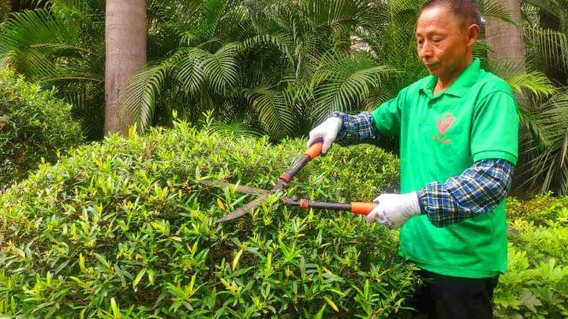 园林景观仿真茅草：揭秘其价格构成与选用要点