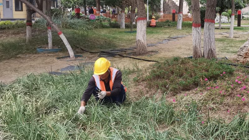 别墅墙面绿化：与普通外墙的五大差异解析