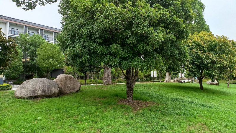 园林景观工程报价清单：揭秘背后的关键因素**