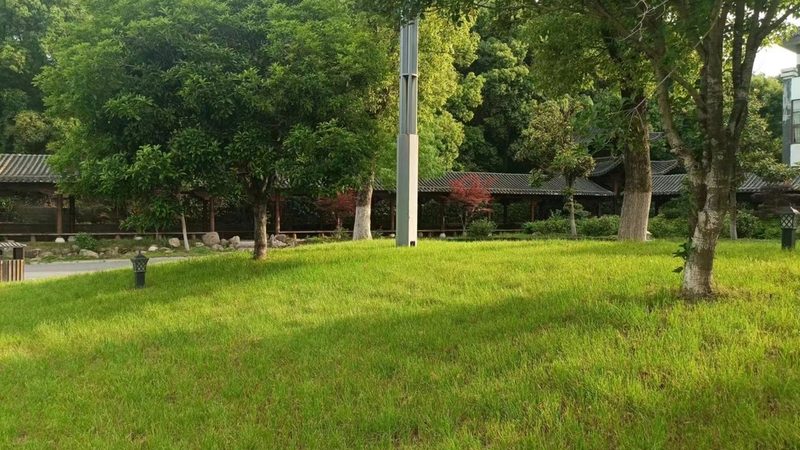 垂直绿化仿真植物墙：不只是美观，更有深层价值